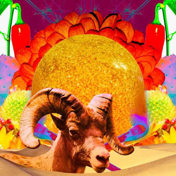 Collage for the Sun in Aries - Aries season horoscope