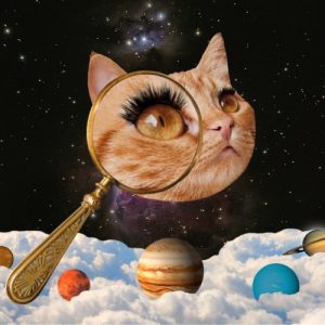 Collage of a cat head with magnifying glass and planets in the background