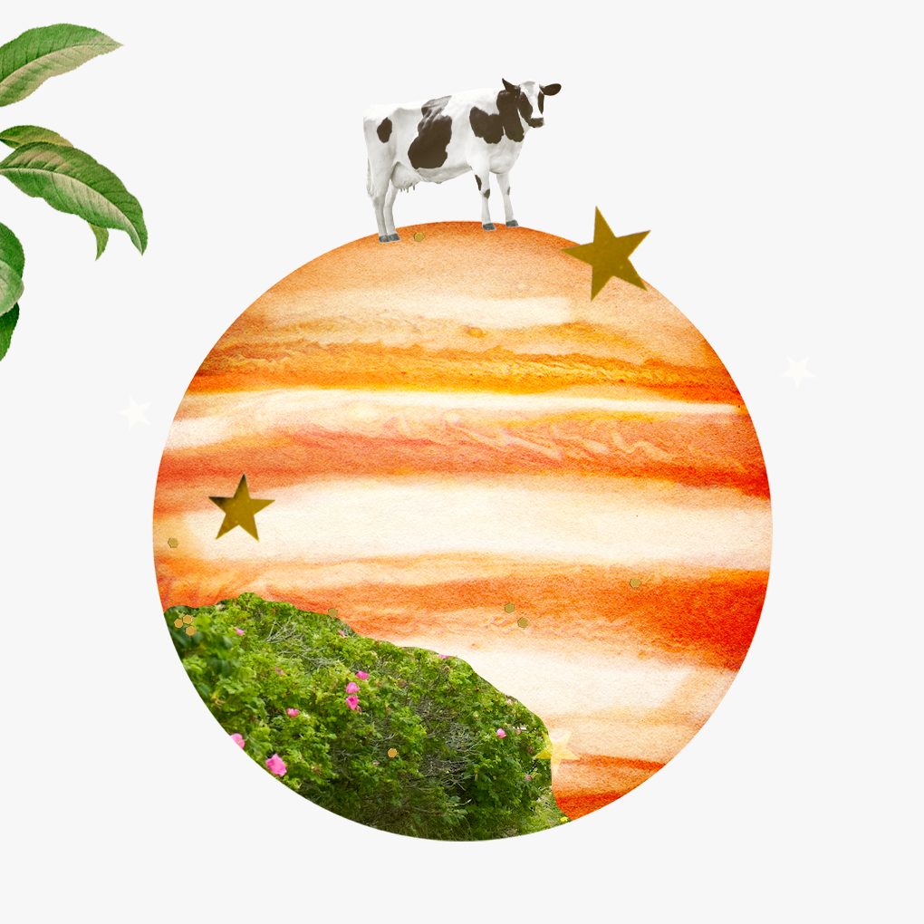 Collage for Jupiter in Taurus